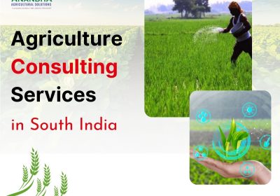 Anandha-Agricultural-Solutions-in-Tamilnadu