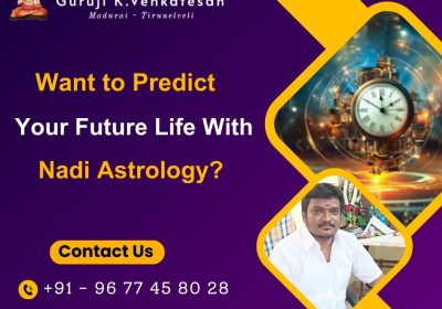 Predict-Your-Future-Life-with-Nadi-Astrology